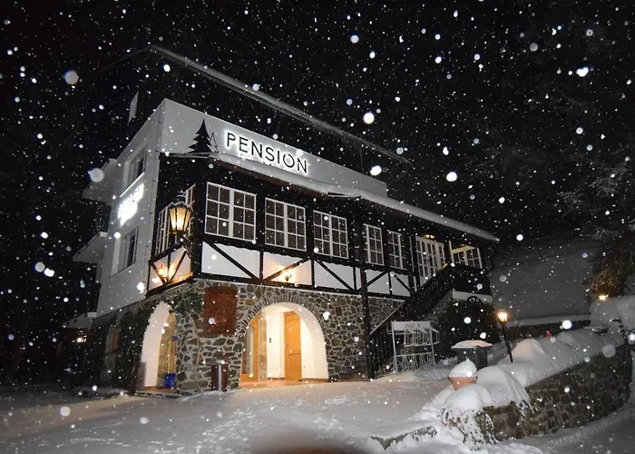 St. Moritz 3*